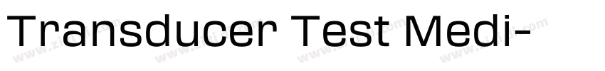 Transducer Test Medi字体转换